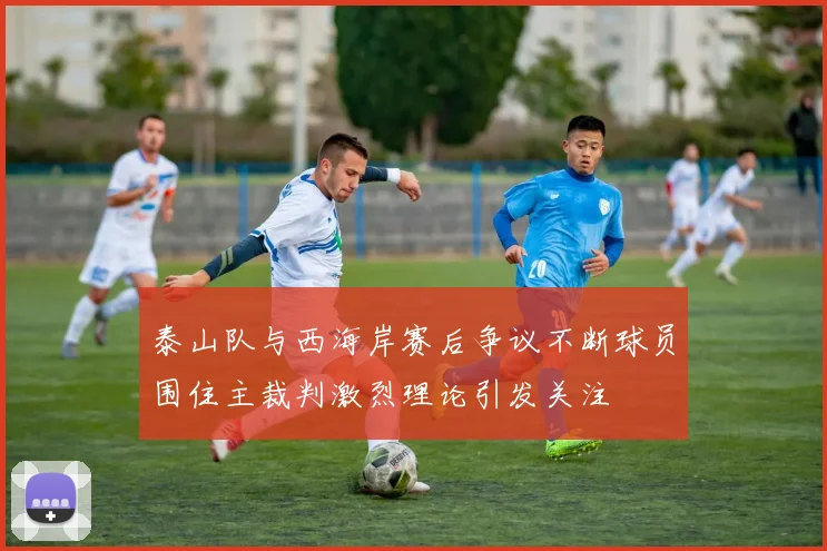 泰山队与西海岸赛后争议不断球员围住主裁判激烈理论引发关注